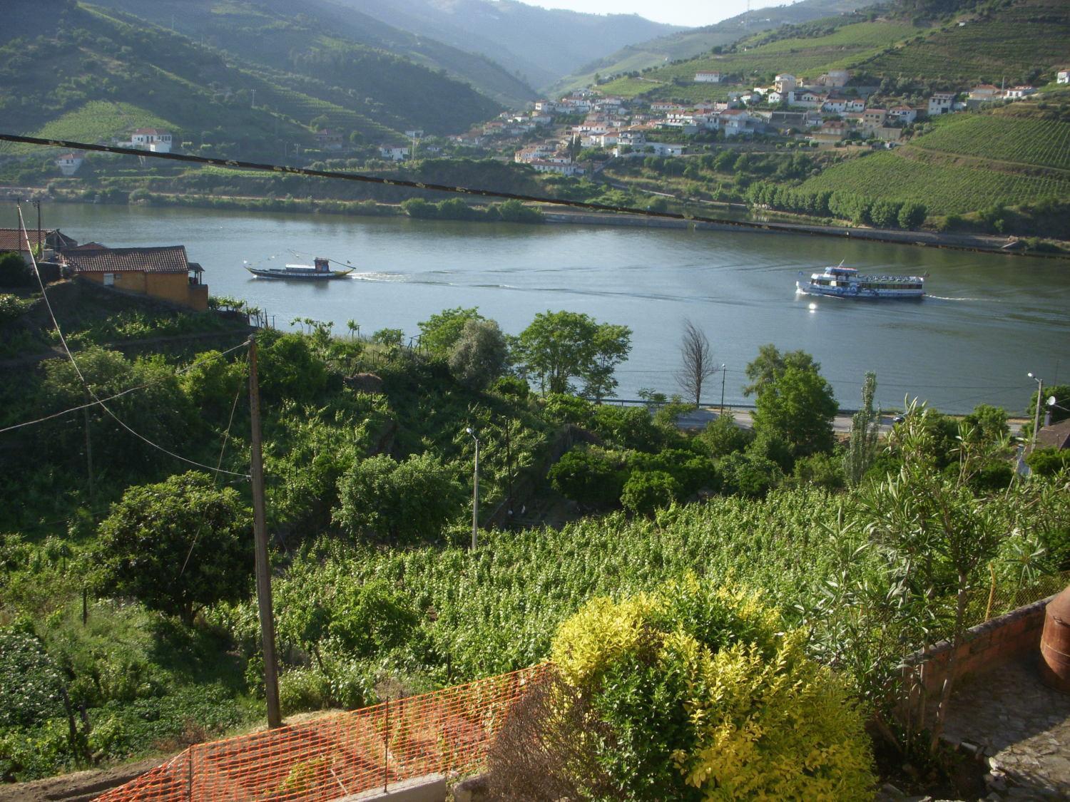 Hotel Quinta Da Azenha Folgosa  Exterior foto